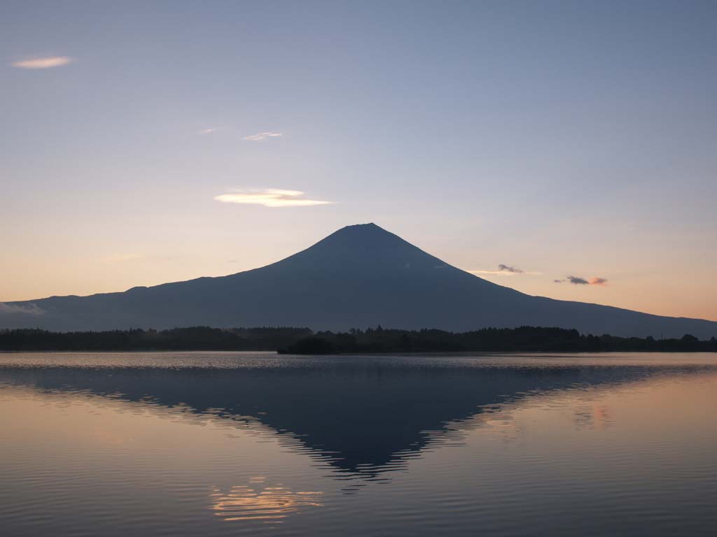 �ʉ_�ƕx�m�R