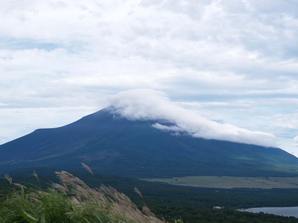 �䕗�ʉߒ��̕x�m�R