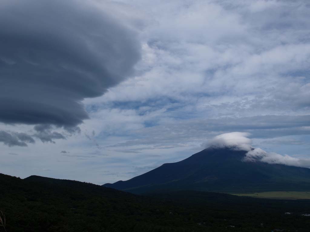 �邵�_�ƕx�m�R