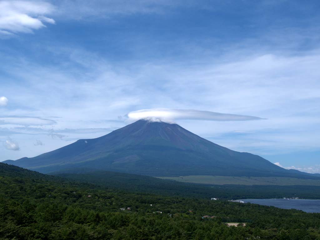 �����_�ƕx�m�R