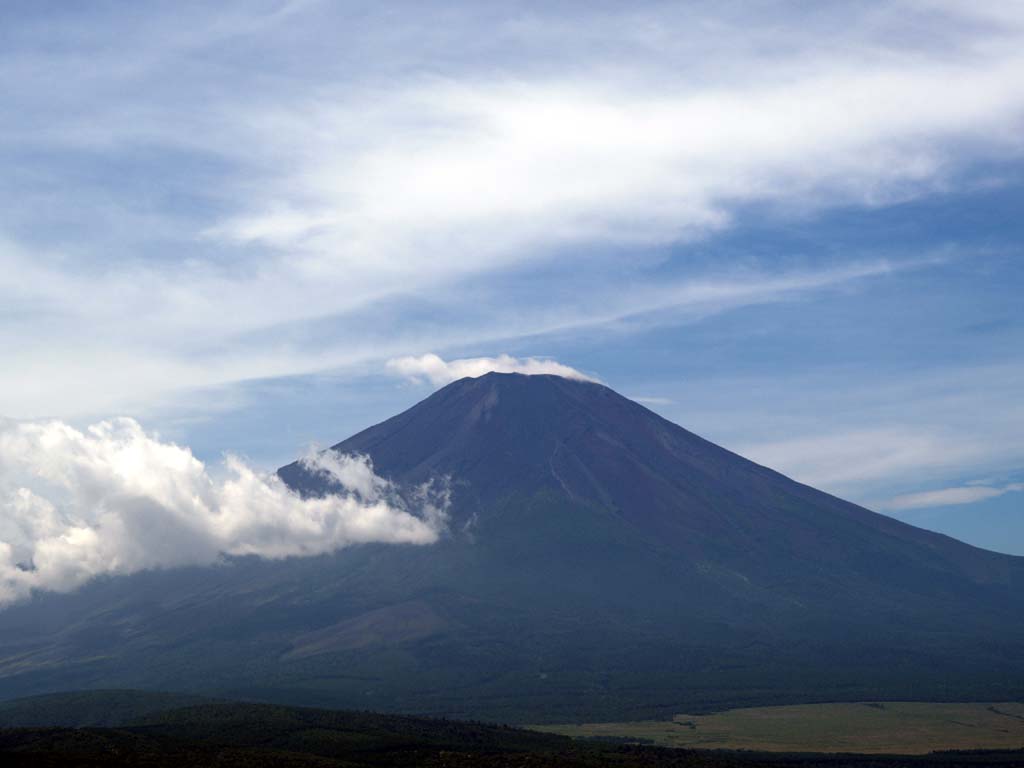 ����ƌ������x�m�R��