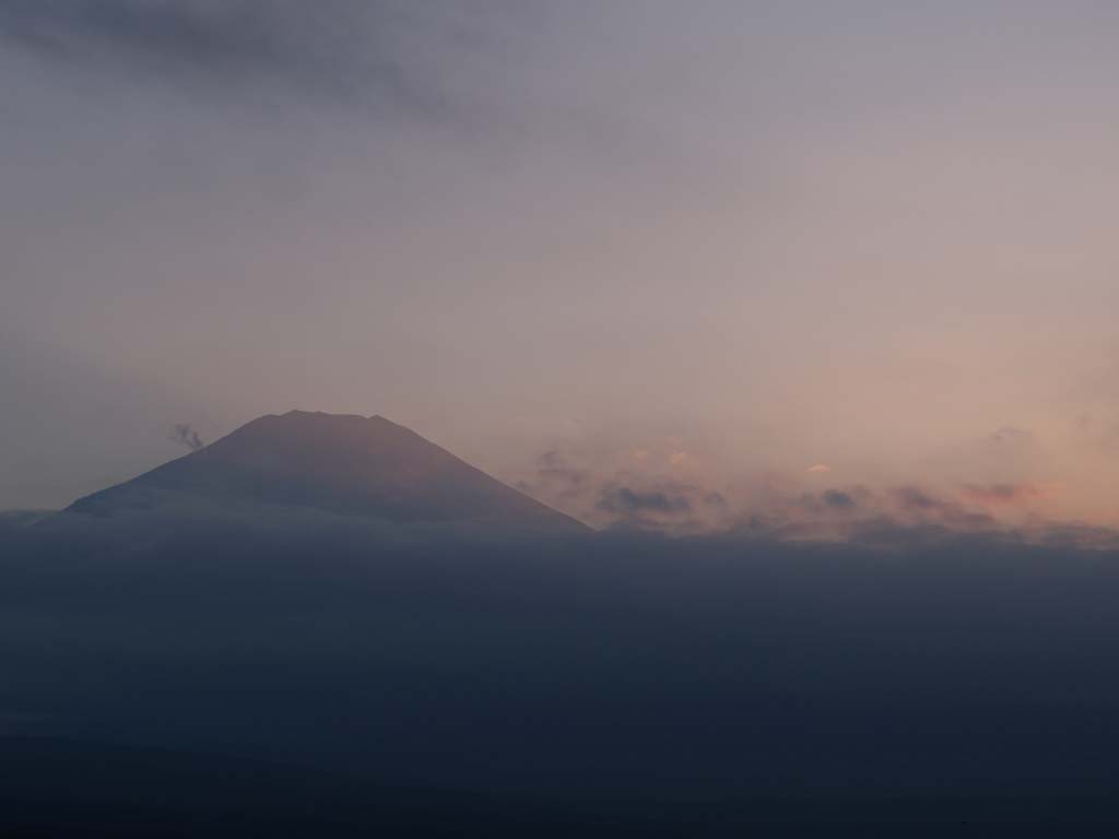 �R���΃p�m���}�䂩��̗[�Ă�(2)