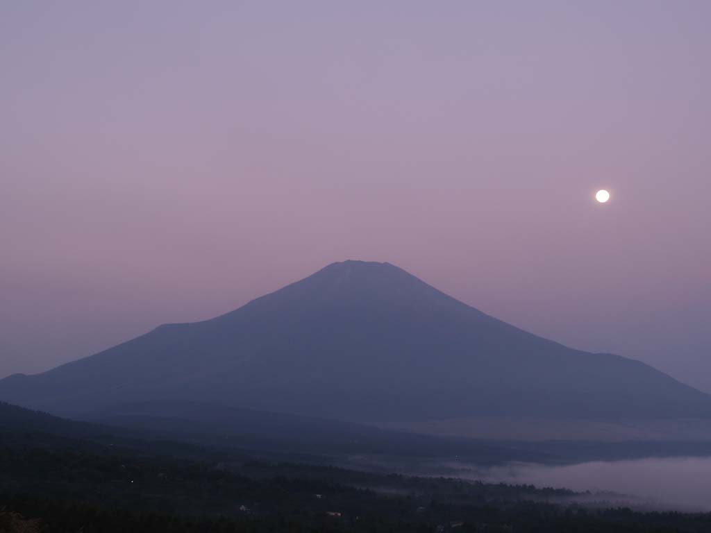 �����ƒ��Ă��̕x�m�R