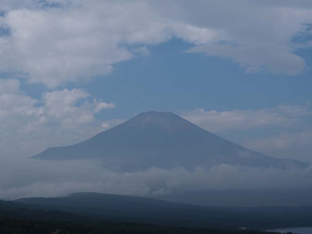 ���ꂢ�Ȑ�ƕx�m�R