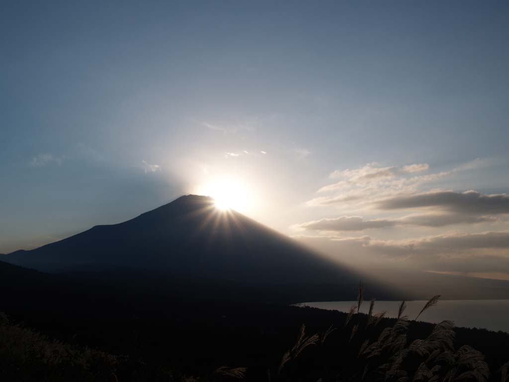 �R���΂���̃_�C�������h�x�m���ǂ�