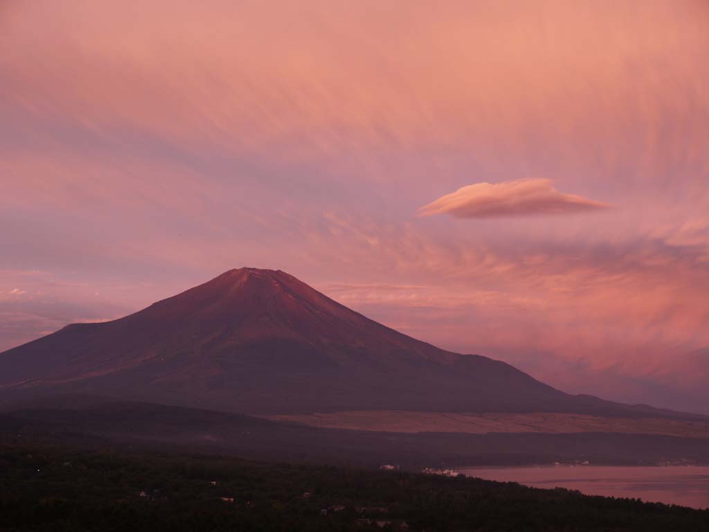 �p�m���}�䂩��̒��Ă�(2)