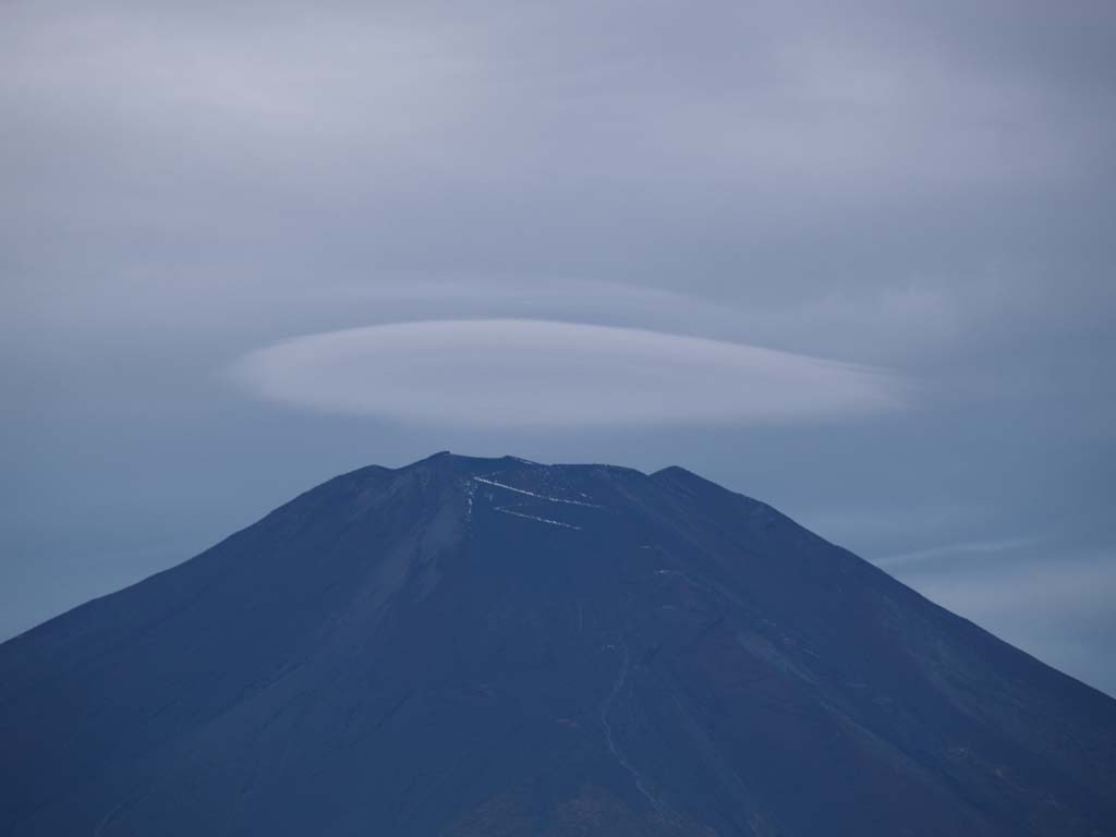 �����_�ƕx�m�R