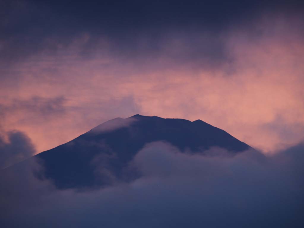 �J�オ��̗[�Ă��ƕx�m�R