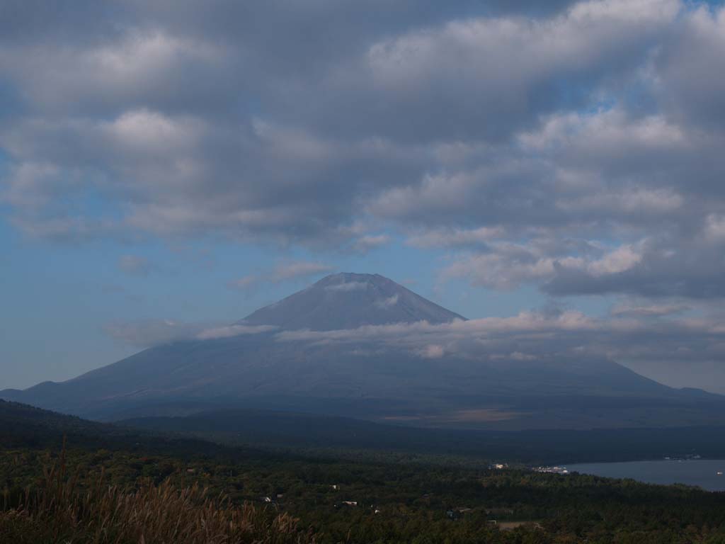 �䕗��߂̕x�m�R