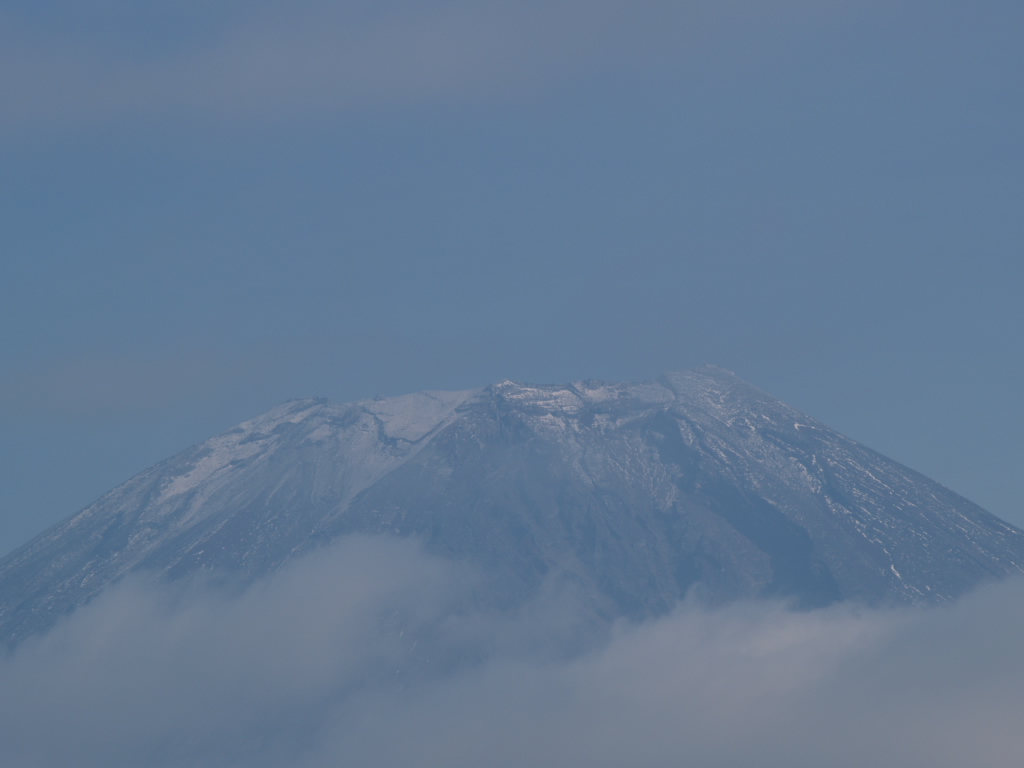 ������������̕x�m�R�̃A�b�v