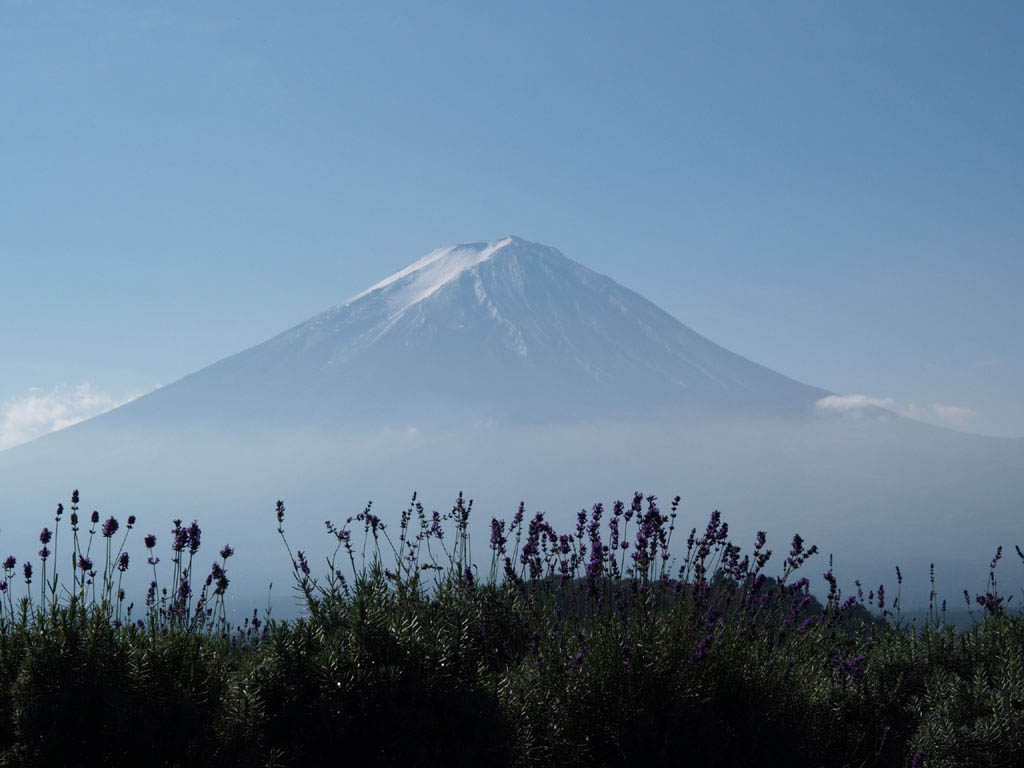 ��Ό�������̃��x���_�[�ƕx�m�R