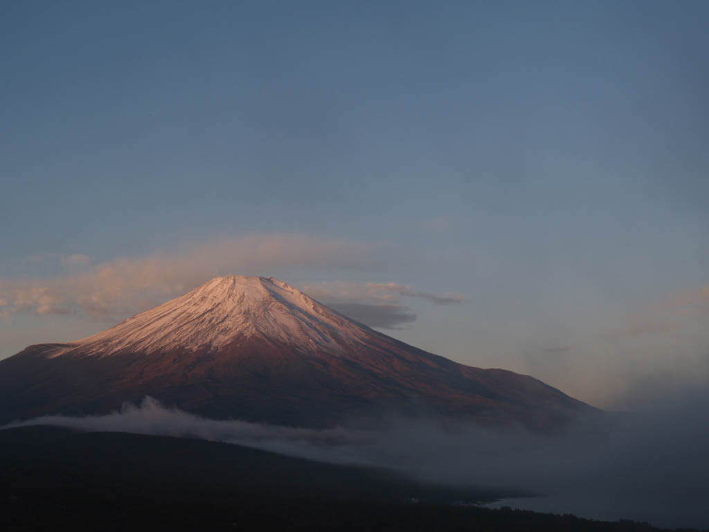 �R���΂���̒��Ă�