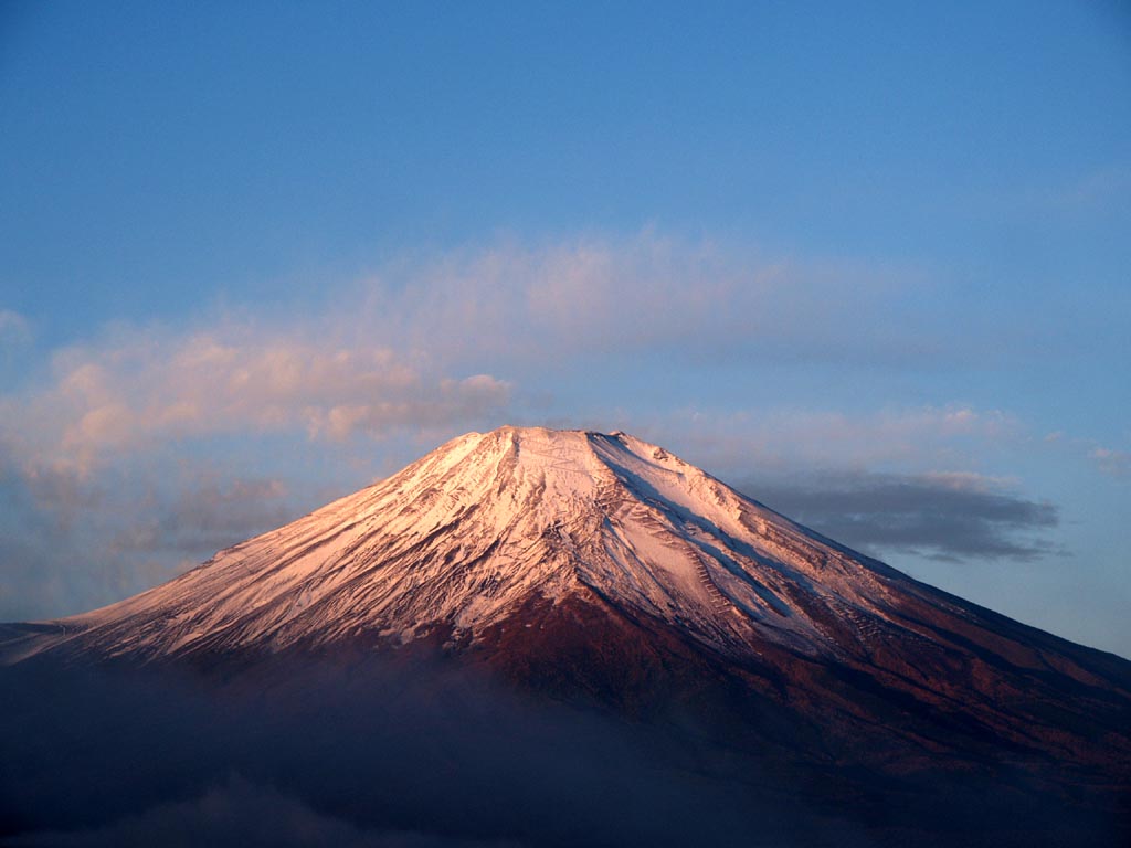 �R���΂���̒��Ă�(2)