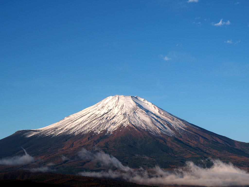 �R���΂���̂��ꂢ�ȕx�m�R