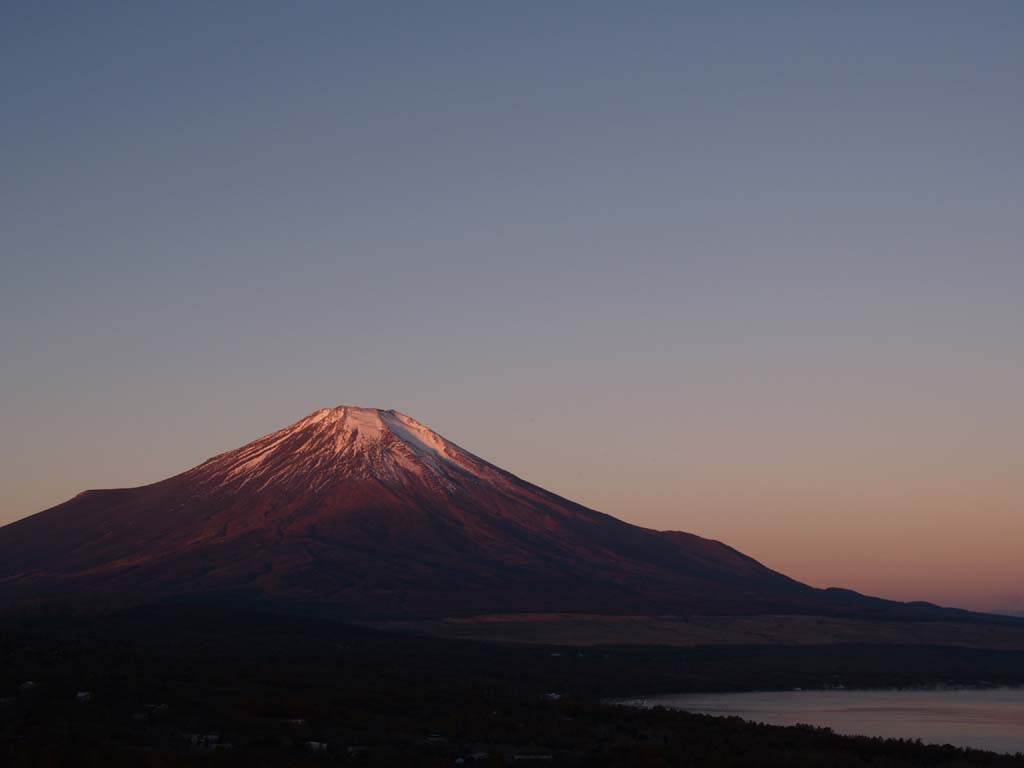 �p�m���}�䂩��̒��Ă�