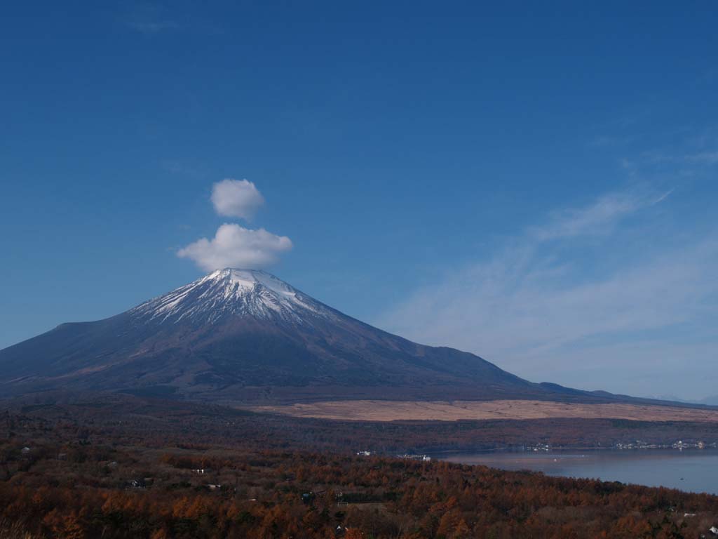 �x�m�R�Ɖ_�O��