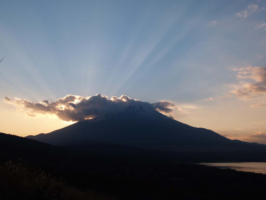 ���̓����̕x�m�R�ƌ�