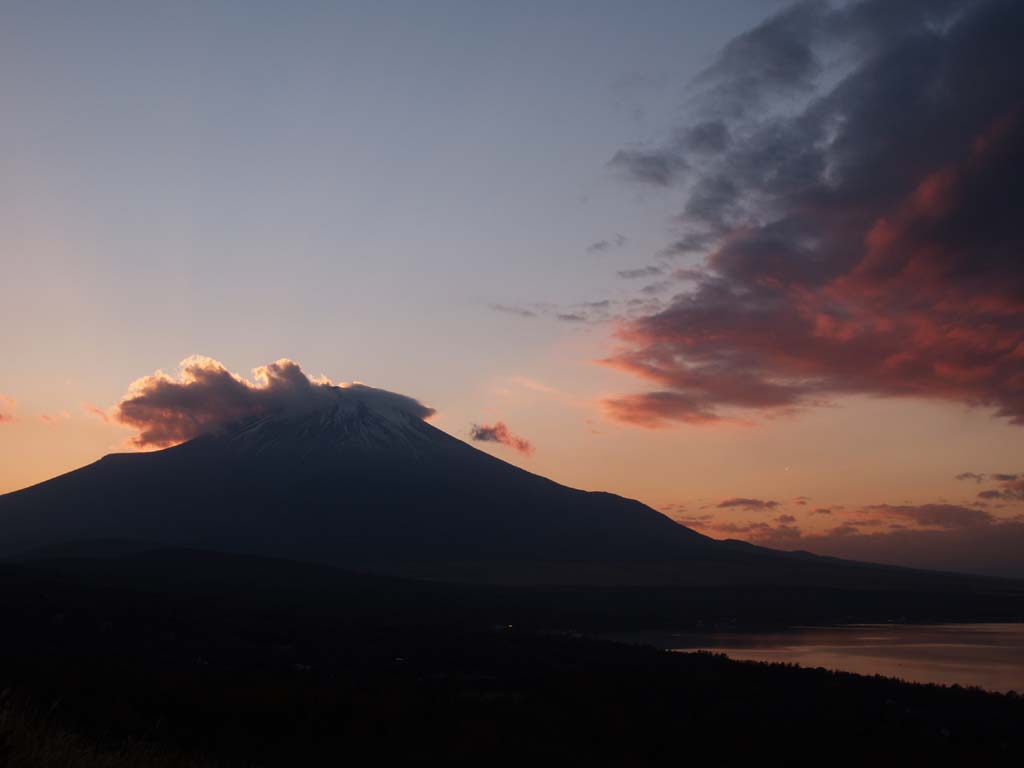 �[�Ă��ƕx�m�R