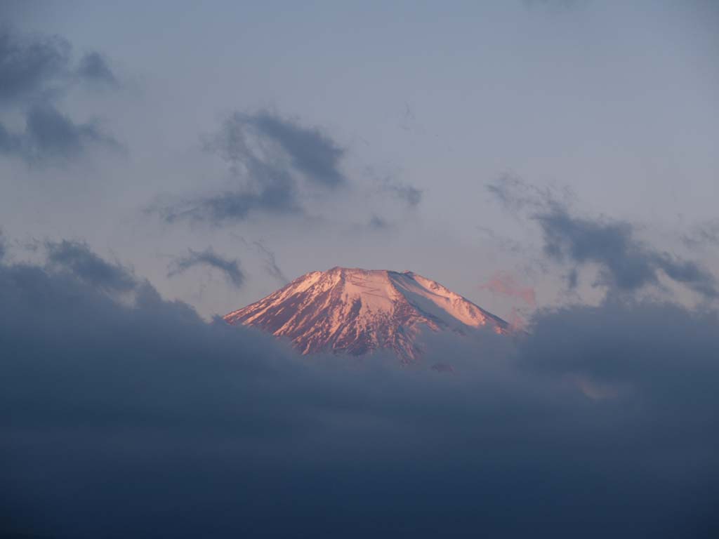 ���Ă��ƕx�m�R