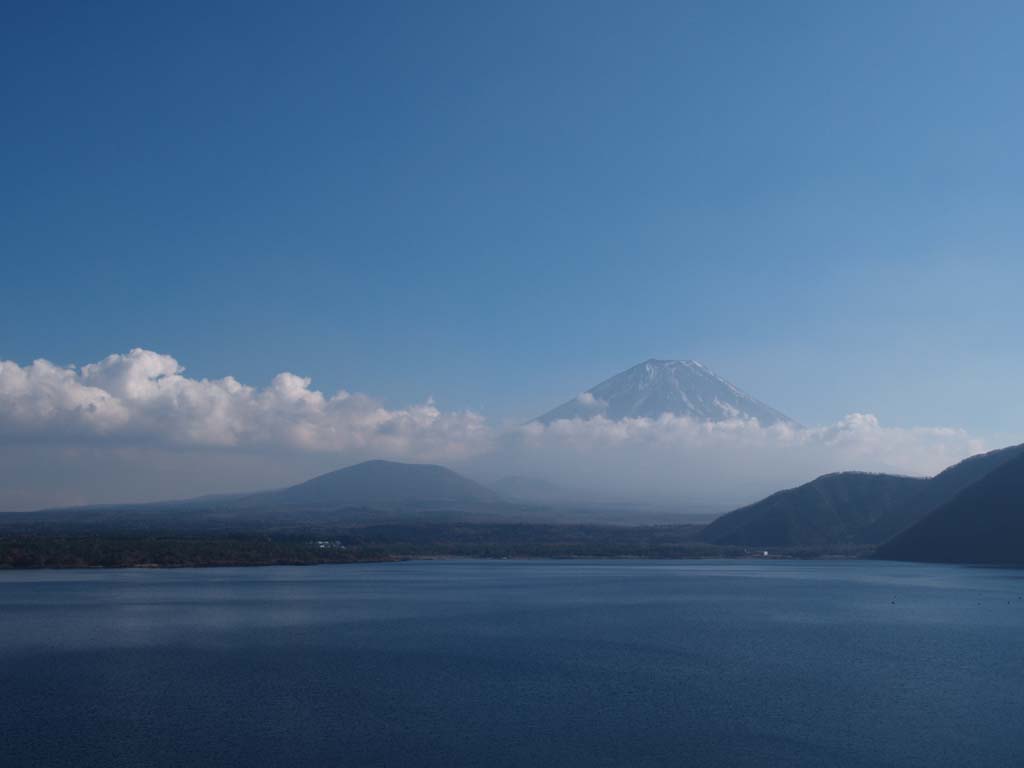 �ߌ�̖{���΂ƕx�m�R