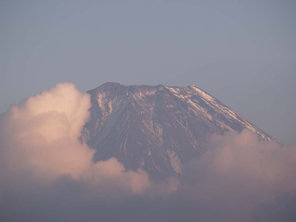 �ߌ�l���̕x�m�R