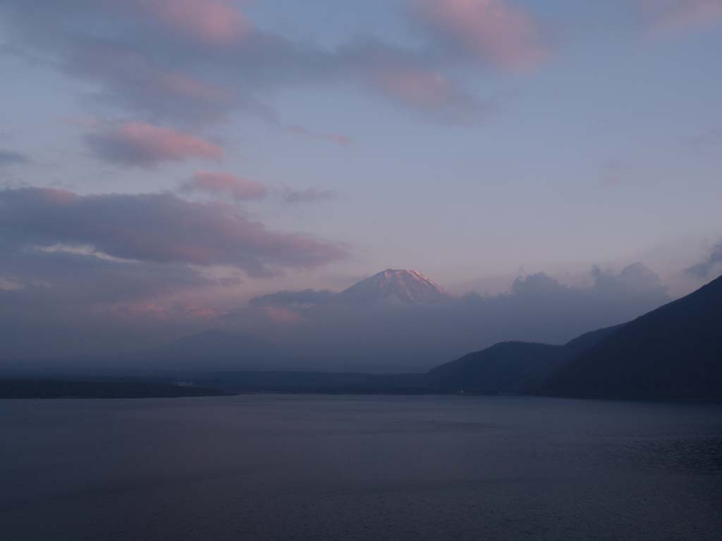 �[�Ă��ƕx�m�R