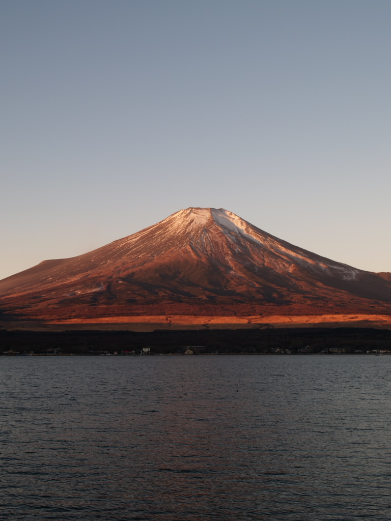 ���r����̒��Ă�(2)