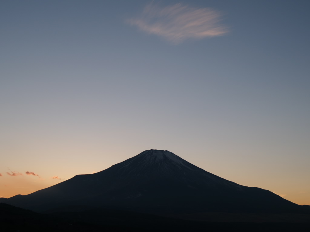 �ʉ_�ƕx�m�R