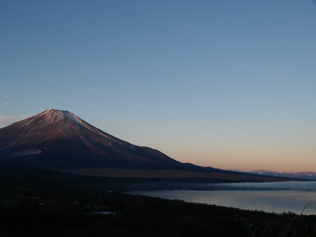 �p�m���}�䂩��̒��Ă�