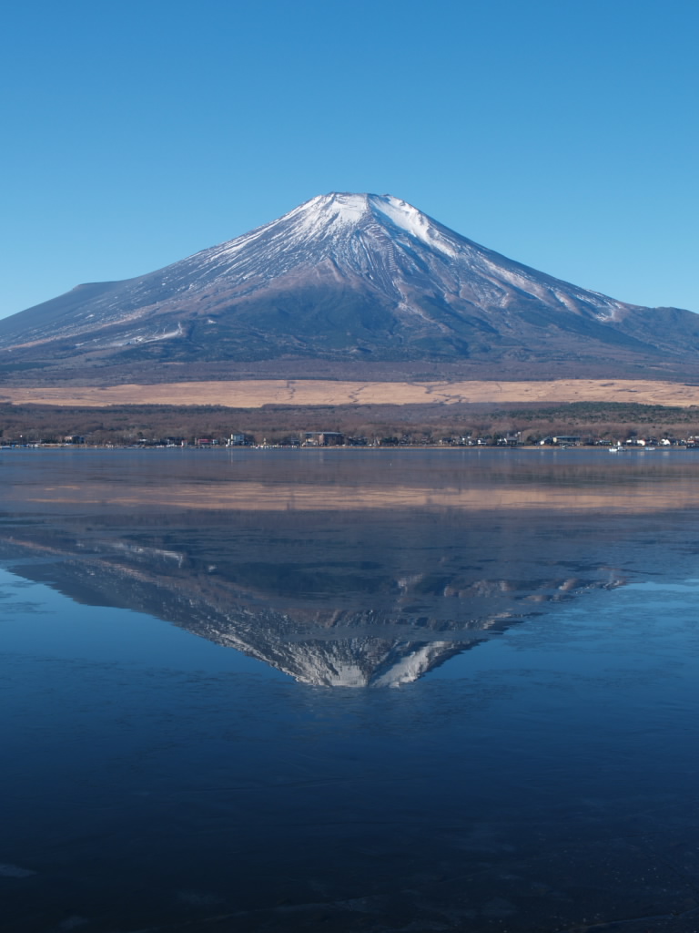 �R���΂���̋t���x�m(Olympus E-�P)