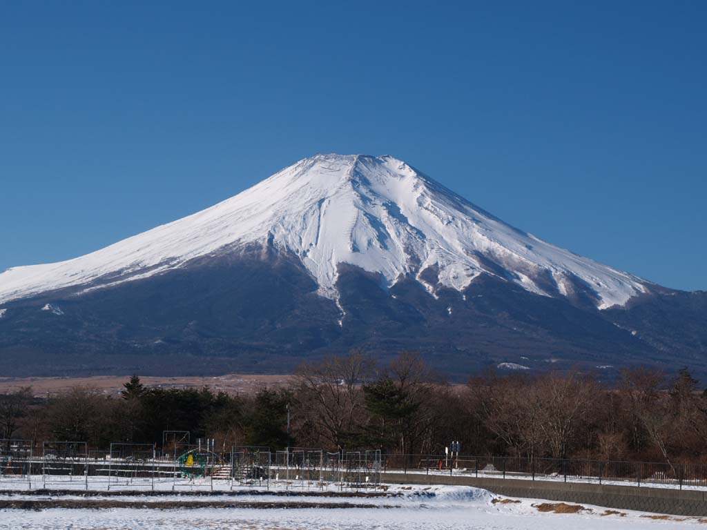 �Ԃ̓s��������̕x�m�R