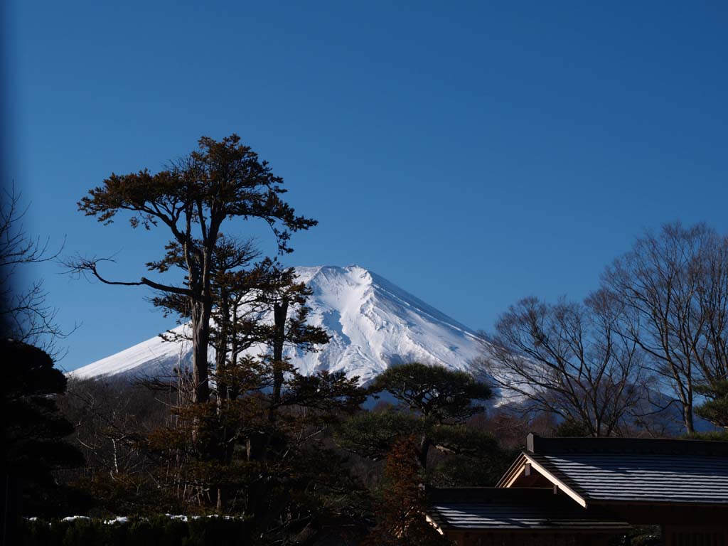 �E�삩��̕x�m�R