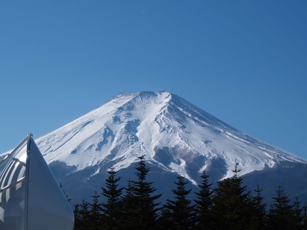 �x�m�g�c����̕x�m�R