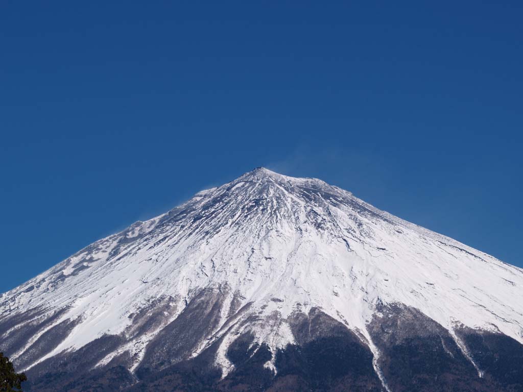 �₩��̕x�m�R