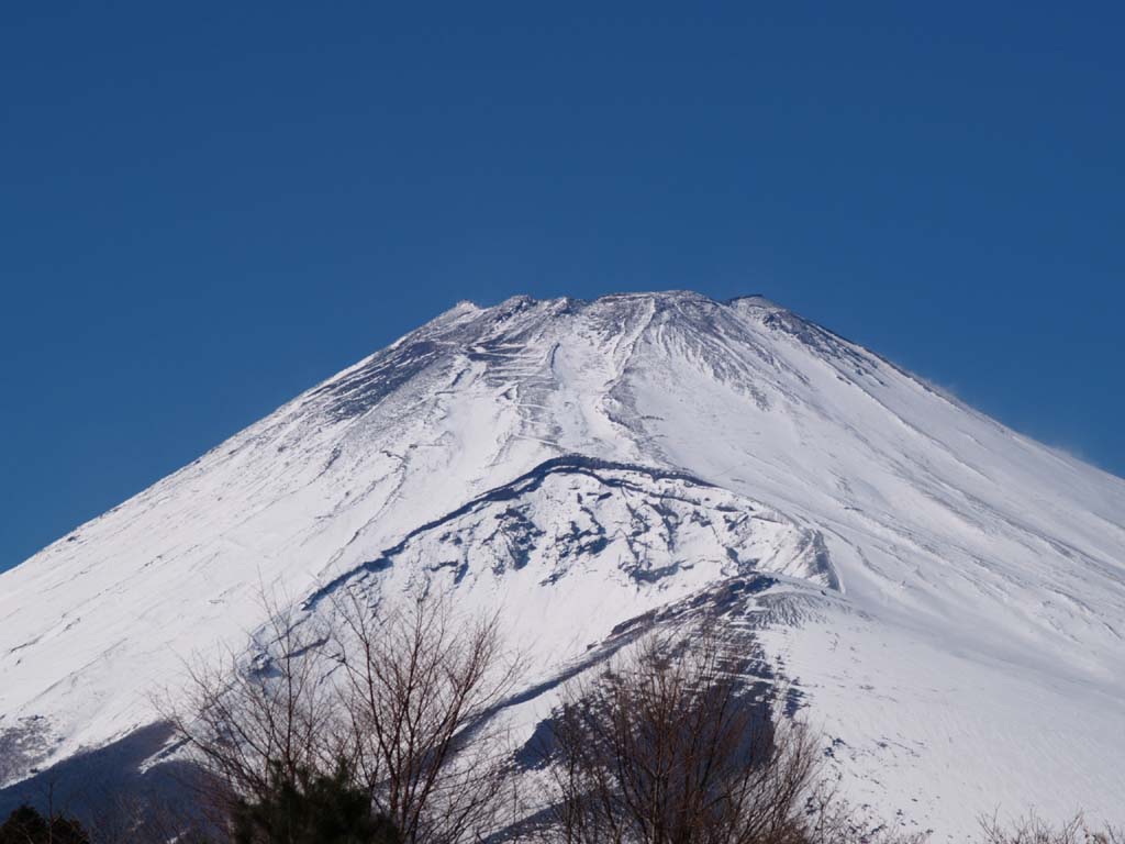 ���삩��̕x�m�R