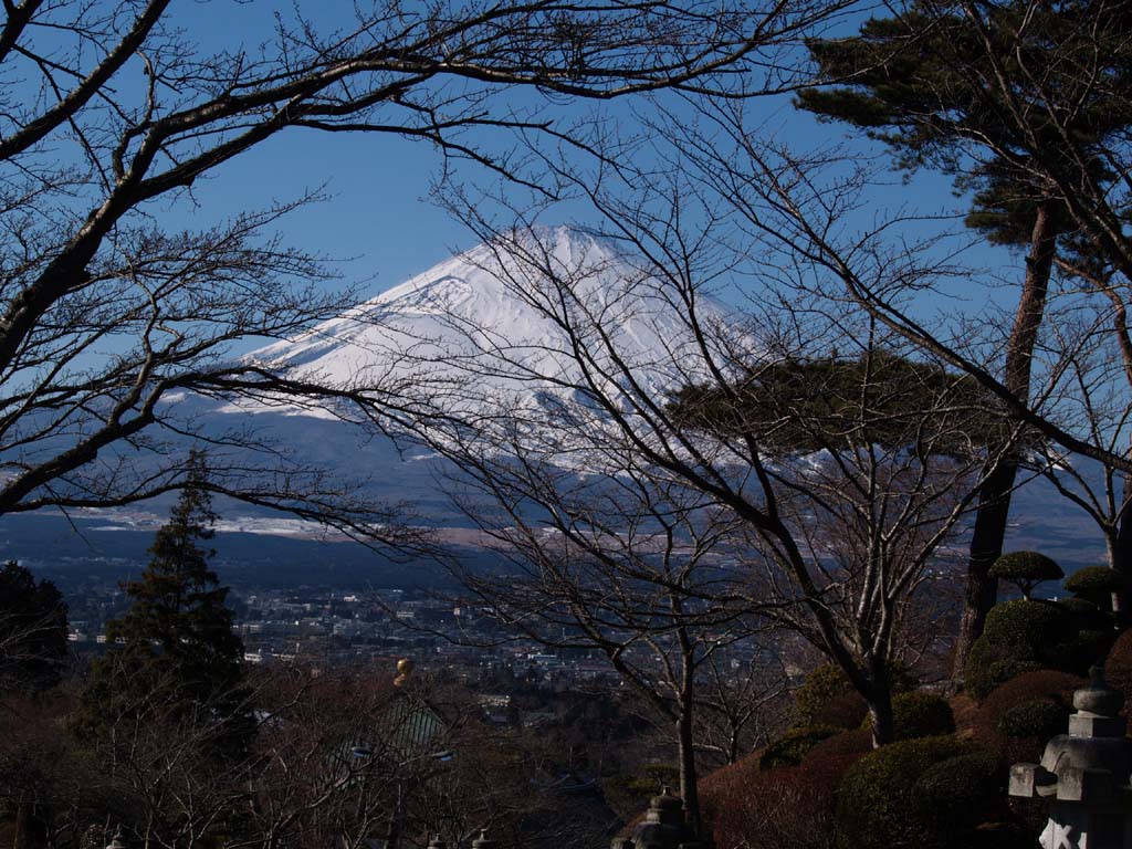 ���a��������̕x�m�R