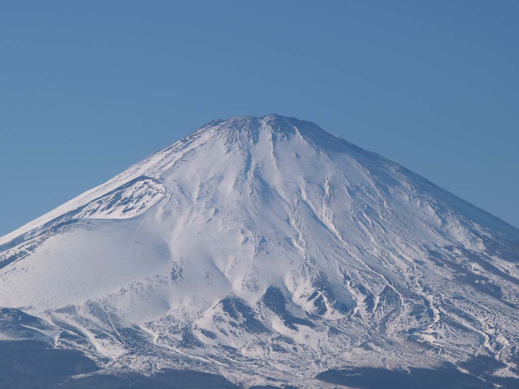 �����ق���̕x�m�R