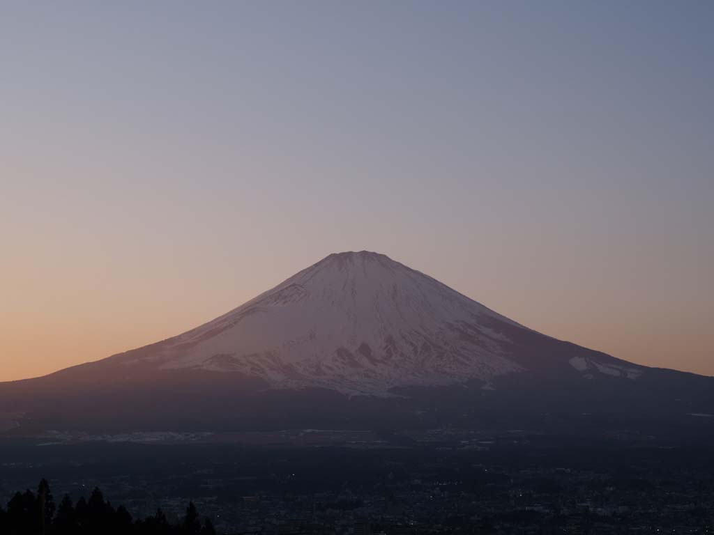 �����ق���̗[���ƕx�m�R