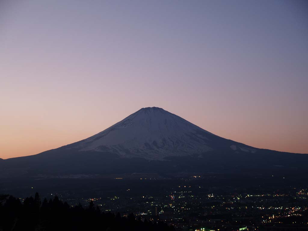 �����ق���̖�i�ƕx�m�R