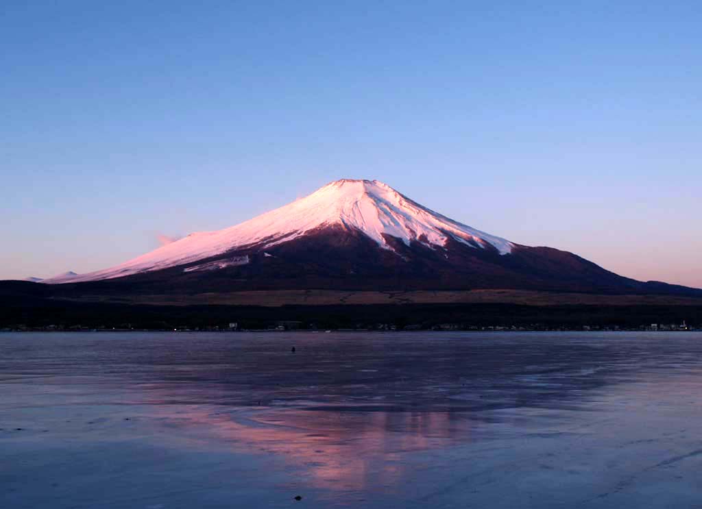 ���r����̒��Ă��ƕx�m�R