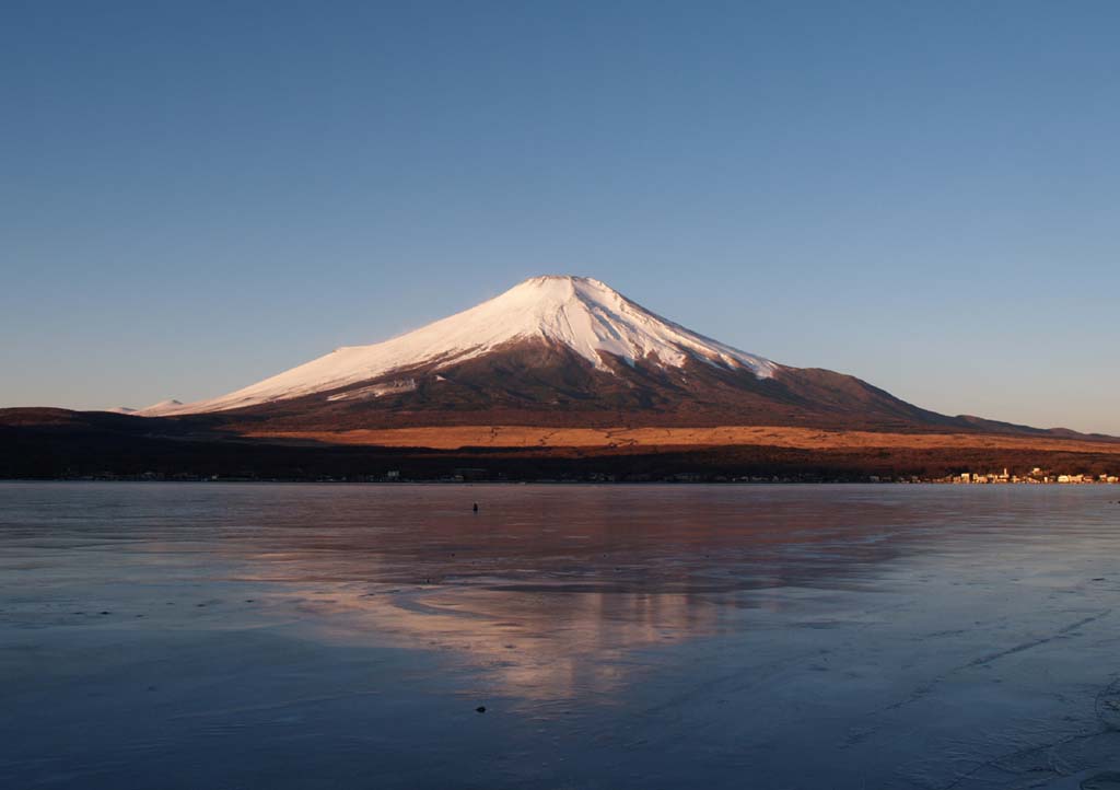 ���r����̒��Ă��ƕx�m�R(2)