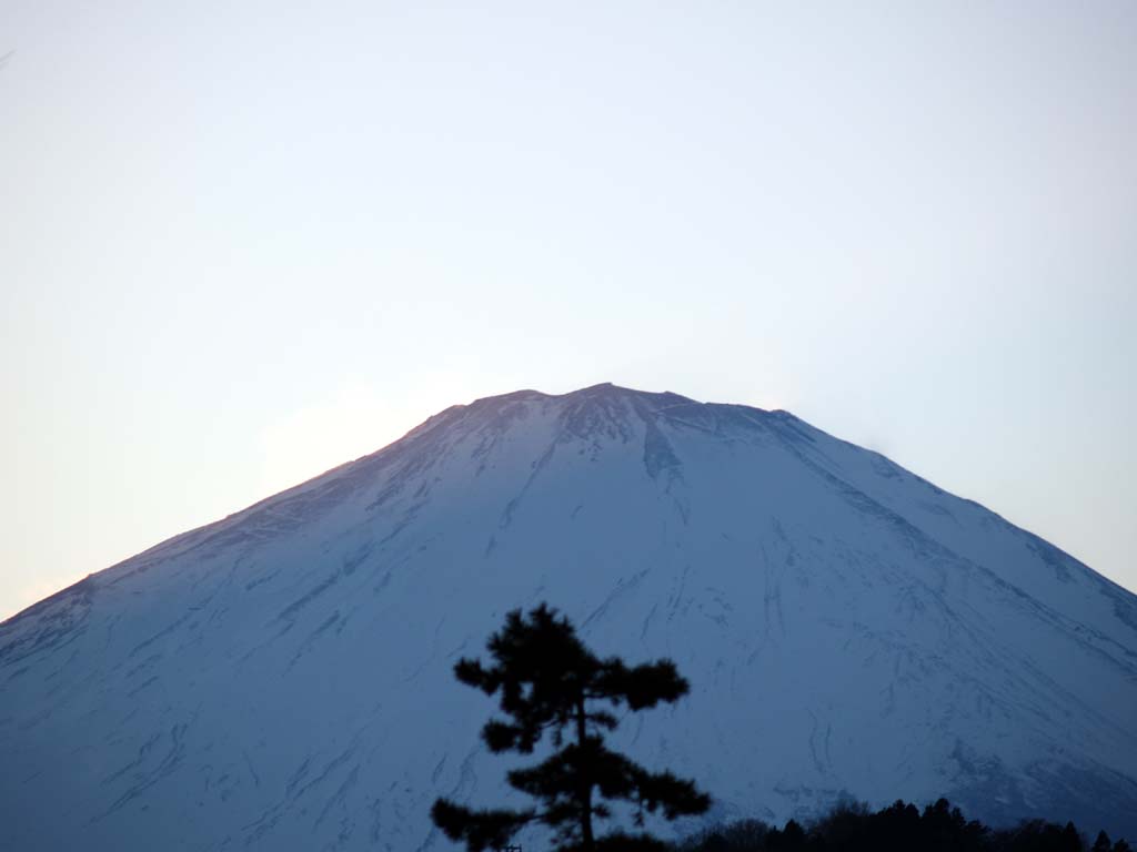 �ӂ��݃Z���^�[����̗[���̕x�m�R