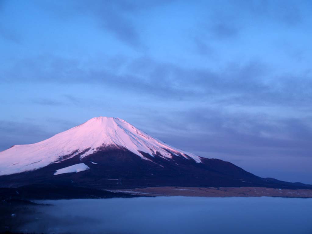 �p�m���}�䂩��̒��Ă��ƕx�m�R