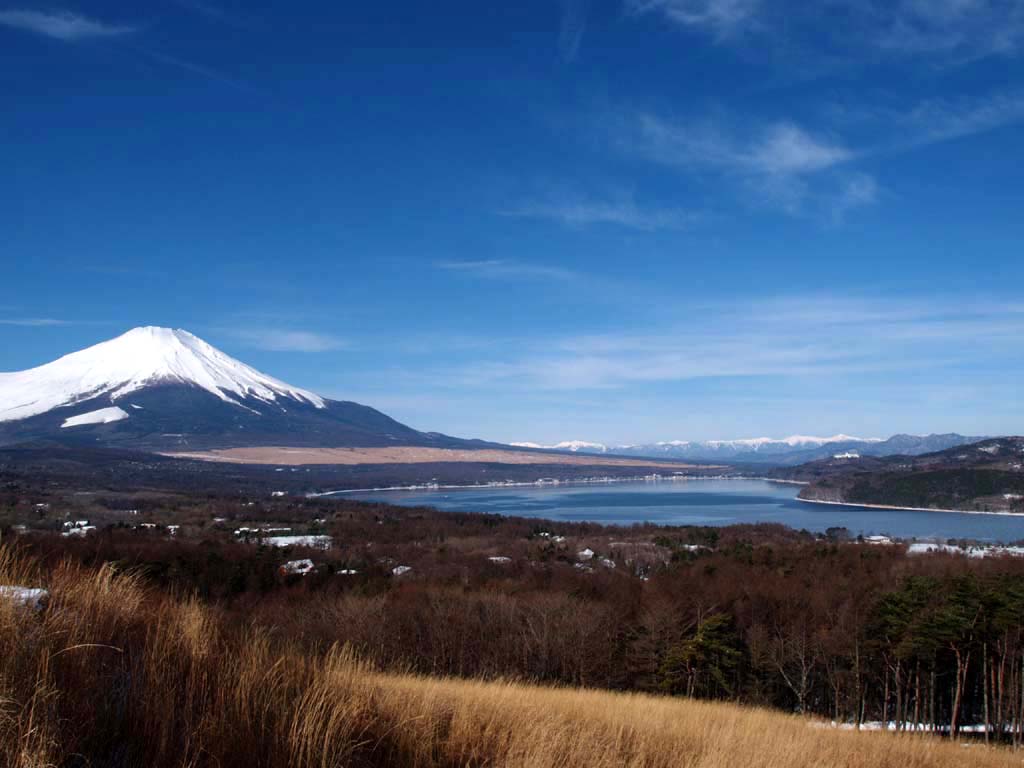 �R���΂ƃp�m���}��̑S�i�ƕx�m�R