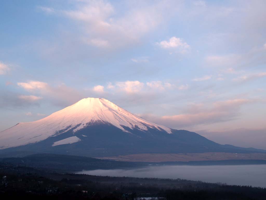 �p�m���}�䂩��̒��Ă��̕x�m�R