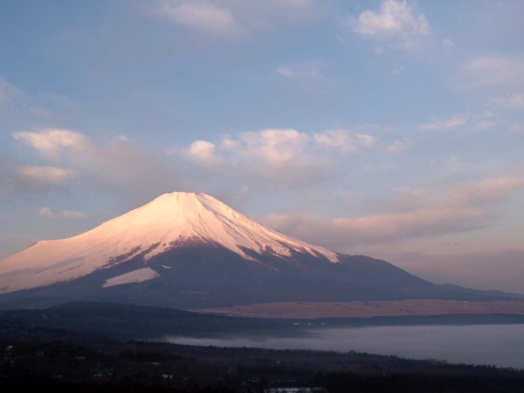 �p�m���}�䂩��̒��Ă��̕x�m�R(2)