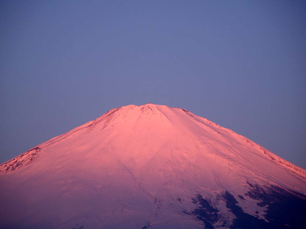 �x�m���R����̒��Ă�