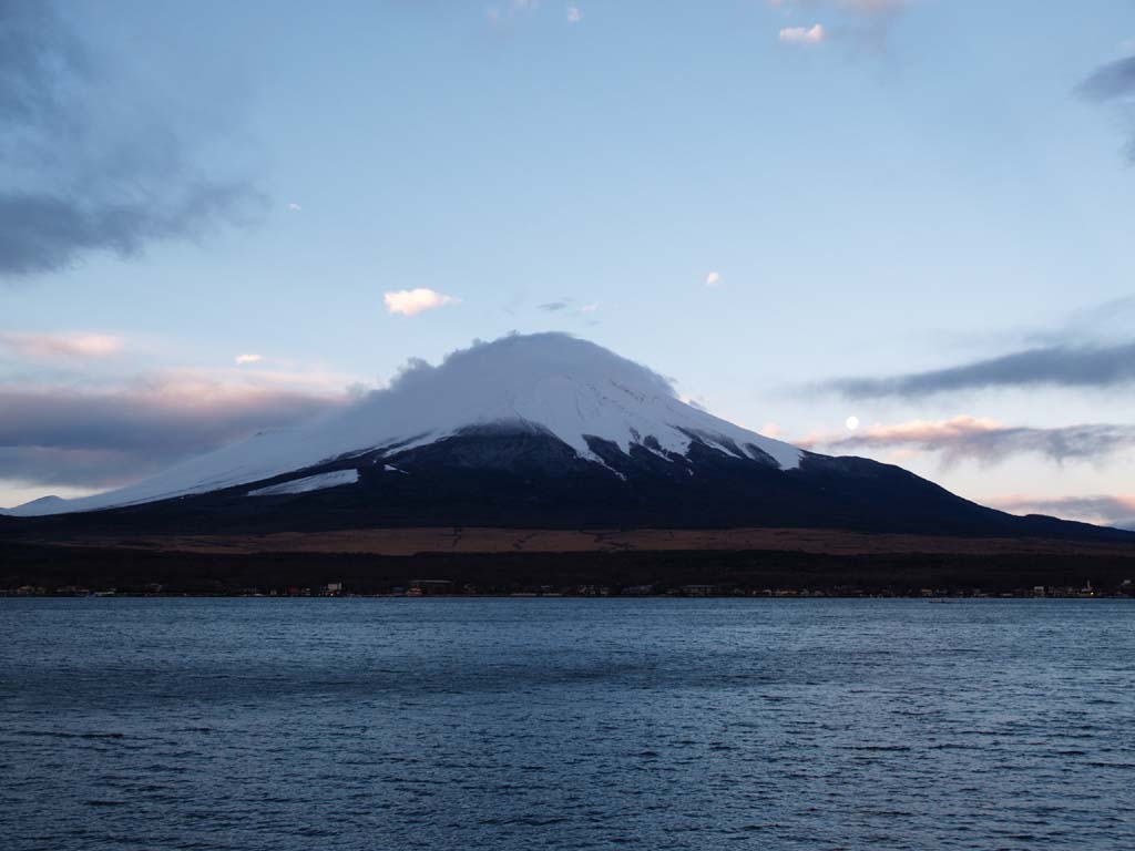 �R�����B�ꂽ�x�m�R