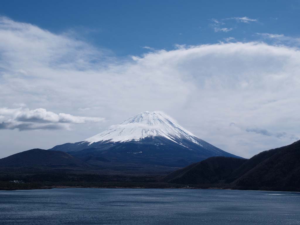 �{���΂���̕x�m�R