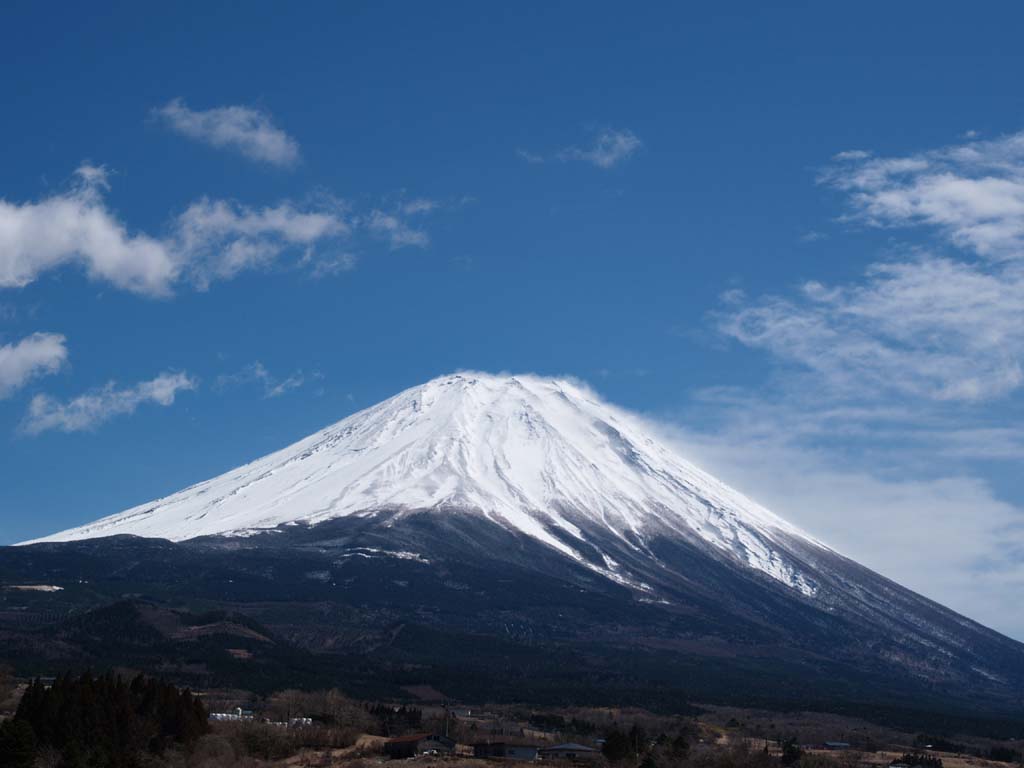 ������������̕x�m�R